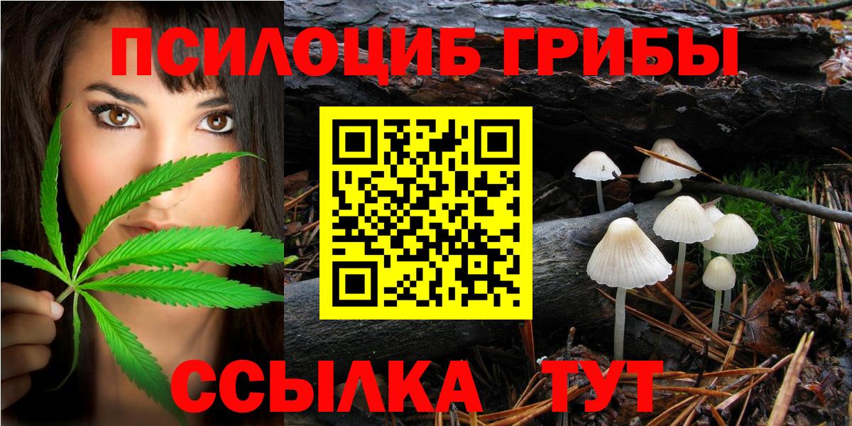 Псилоцибиновые грибы Psilocybine cubensis Дивногорск