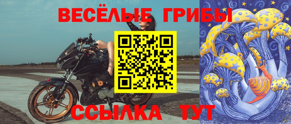 Галлюциногенные грибы Magic Shrooms  Псилоцибиновые грибы мухоморы  Вход с VPN  Дивногорск 
